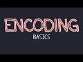 Web Pentesting For Beginners HEX ASCII URL Encoding Base 64