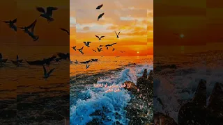 خ ـل ـق ـت ل أ ر ت ـق ـي للمنشد أنس عبدالستار 