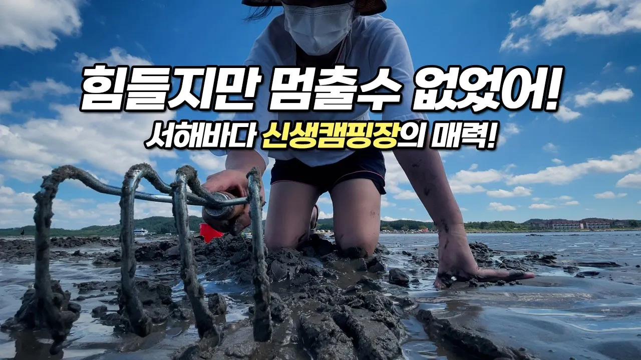 밤낮없이 홀린 듯 해루질 캠핑! 동갈치에 새우잡고 성공적인 조개캐기! 신두57캠핑장 썸네일