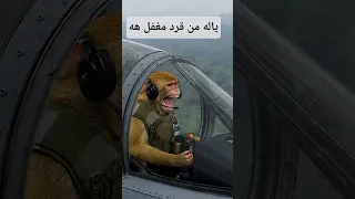 قرد يقود طائرة حرب في الغابة الصواريخ تطير في كل مكان Viral Ai Cat Funny Cute اكسبلور Ai 