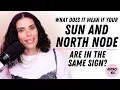 What does it mean if your Sun and North Node are in the same sign CHANI Astro 101