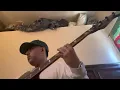 Sembrando El Terror - Marca mp (Cover)