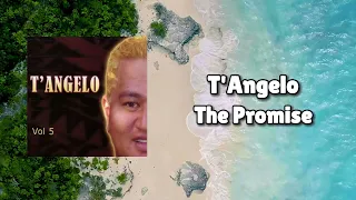 tangelo the promise official visualiser 