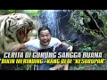 Download Lagu ADA LUTUNG DI SANGGA BUANA | KANG DEDI NIKMATI AIR TERJUN DI PUNCAK GUNUNG