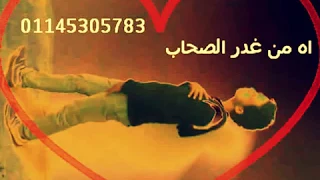 احمد حسني بتشبه عليه العندليب 01145305783 