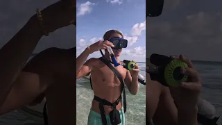 Last week in Paradise