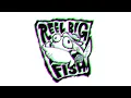 Reel Big Fish - 1999 Beer Live in Denver