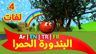 البندورة الحمرا باللغات الأربع العربية الإنجليزية التركية الفرنسية طيور بيبي Toyor Baby 