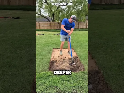 Alasan Rumput Ini Mati Akhirnya Terungkap!