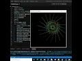 Draw Flower using Turtle Graphic Python