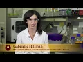SURE Summer Undergraduate Research Experience