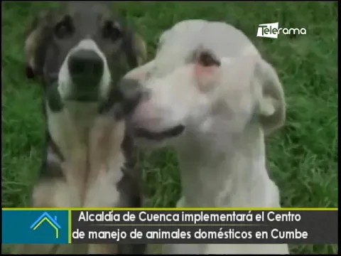 Alcaldía de Cuenca implementará el Centro de manejo de animales domésticos en Cumbe