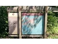 Biking along the Wildlife Loop in Chincoteague National Wildlife Refuge