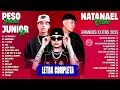 Download Lagu Peso Pluma, Natanael Cano, Fuerza Regida, Junior H - Los Mejores Corridos Tumbados 2025