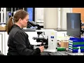 What is Clinical Laboratory Science Work behind the scenes in health care with a CLS degree