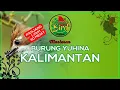 Download Lagu MASTERAN YUHINA KALIMANTAN GACOOOR || PARANORMAL BIRD CHANNEL VIDEO