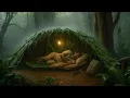 Download Lagu Berkemah di tengah hujan badai yang lebat // berjuang membangun tempat berteduh di tengah hujan leba