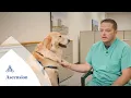 A culture built on caring Reasons Ascension associates stay