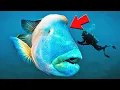 10 Mind-Blowing Facts That Will Change Your Perspective