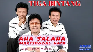 Download Tiga Bintang  - Aha Salana  Martinggal Hata   || Official Music Video MP3