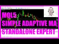 MQL5 TUTORIAL - SIMPLE AMA STANDALONE EXPERT ADVISOR