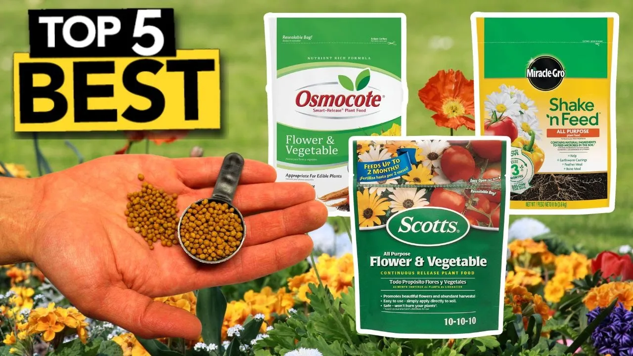 TOP 5 Best All Purpose Flower & Vegetable Continuous Release Plant Food [ 2023 Buyer's Guide ]