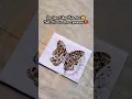 Download Lagu Beautiful Butterfly Mirror Art😍🦋#Mirror Art#shorts