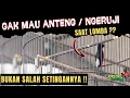 Download Lagu ATASI MURAI BATU NGERUJI / NGEJAR LAWAN ‼️