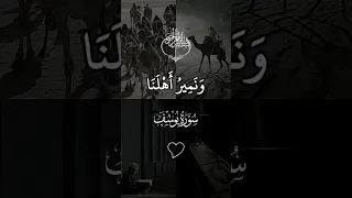 هذه بضاعتنا ردت إلينا   محمود الشحات أنور   القرآن الكريم   دندنها