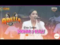 Lagu Janda 7 kali - Elsa safira || Adella Live Anniversary Wkc Korwil Bekicot Betal King Community