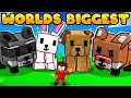Download Lagu I Got The WORLD'S BIGGEST RACCOON to Lead my TITANIC Pet Army on Grow a Garden!