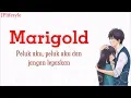 Download Lagu Lagu Jepang Asik | Marigold - Aimyon | Terjemahan Indonesia