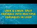 Unix Linux split variable into multiple variables in loop 3 Solutions