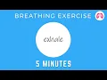 Download Lagu Breathing Exercises To Stop A Panic Attack Now | TAKE A DEEP BREATH