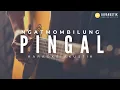 Download Lagu pingal - ngatmombilung (akustik karaoke) denny caknan version