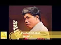 Download Lagu Salim I. - Pujaan Hatiku (Official Audio)