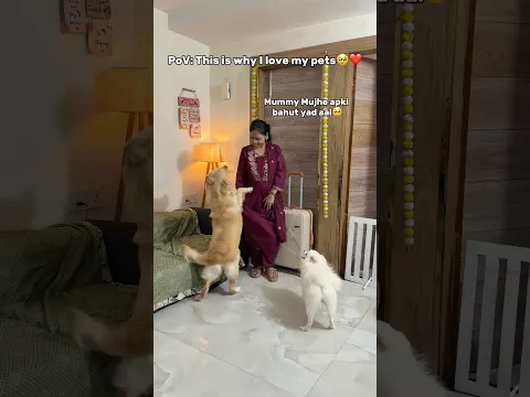 After long time meet maa 🥹❤️ made my day🫶 #doglove #dogmom #welcome #relatable #chikusdodo #shorts