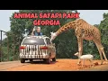 Georgia Wild Animal Safari Park Tour