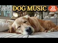 Download Lagu 24 HOURS of Dog Calming Music🐶🎵Music for Puppies with Anxiety🐶💖All-Day Cozy Comfort⭐Healingmate