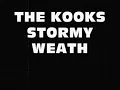 THE KOOKS - STORMY WEATHER