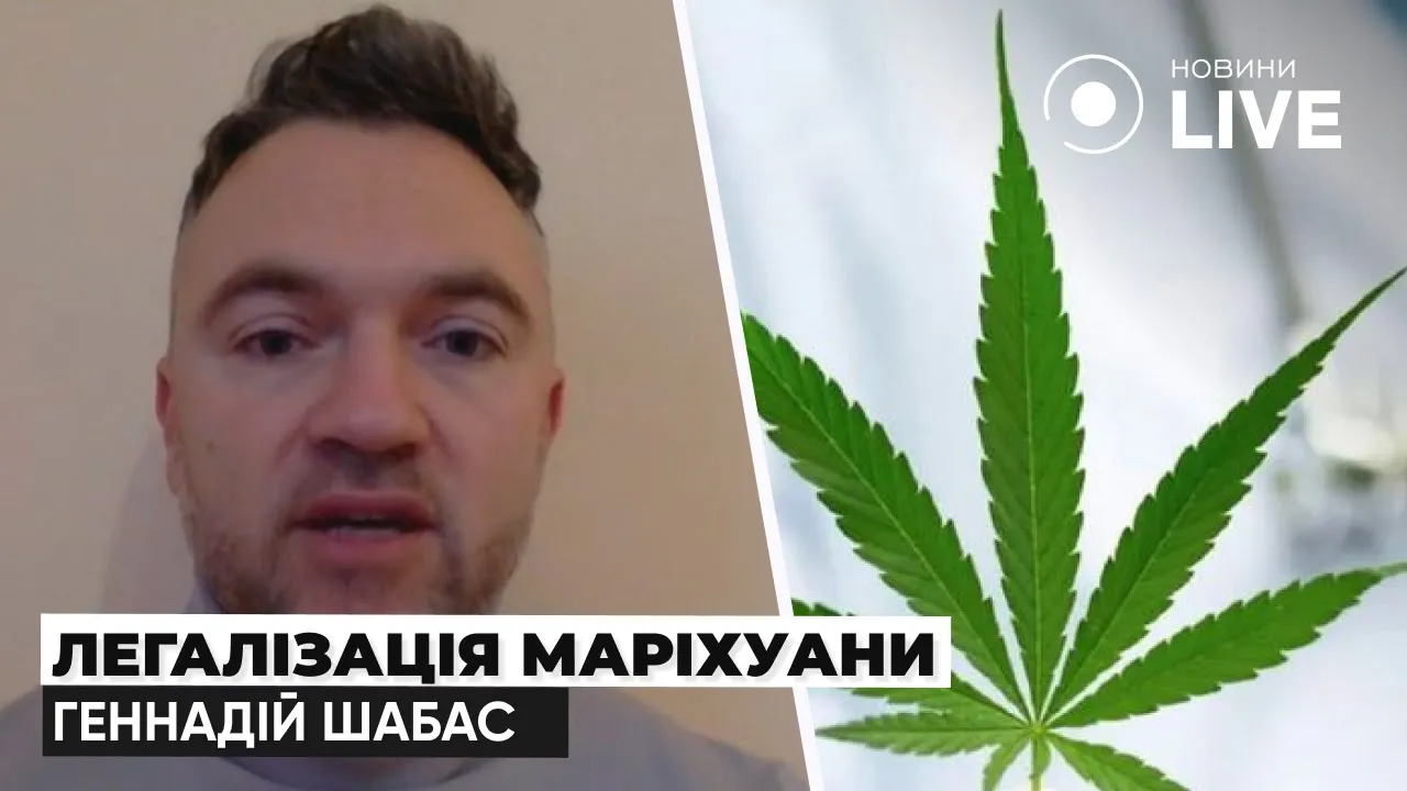 Легализация медицинского каннабиса — эксперт развеял мифы относительно препарата