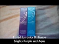 Bleaching and Dying your hair Blue and Purple Using Ion Color Brilliance Brights