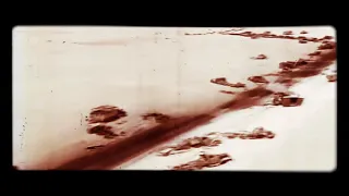 النكسة أوبرا عايدة عمار الشريعي 