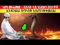 Download Lagu ነብዩ ሙሐመድ (ሰ.ዐ.ወ) - በሰላት ላይ እንዳንሠራ በጥብቅ ያስጠነቀቁን ስህተት Why prophet Mohammed warned us about this