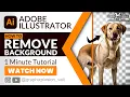 Remove Background in Adobe Illustrator in Just 10 Seconds
