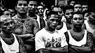 حريقه مش سالكين Hariaa Msh Salkin في احساس ماليني بيقولي انكو مش سالكين 