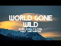 Download Lagu Robin Schulz x Cyril - World Gone Wild (feat. Sam Martin) (Lyrics)