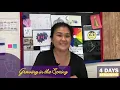 Growing in the Spring Countdown - Professional Development