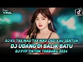 Lagu DJ FYP TIKTOK ‼️|| DJ KU TAK MAU TAK MAU LAGI KAU SENTUH ‼️ UDANG DI BALIK BATU ‼️ FDJ NADA ATIKAH