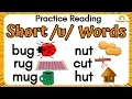 Practice Reading Short u Words CVC Words